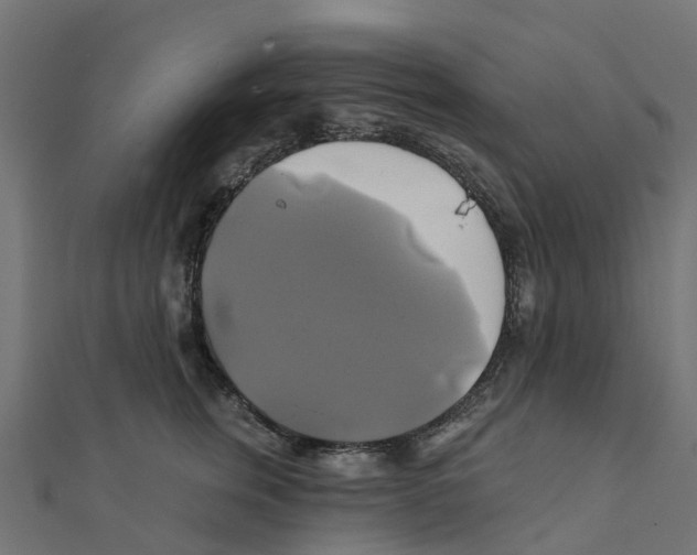X0000111240759200907301306
