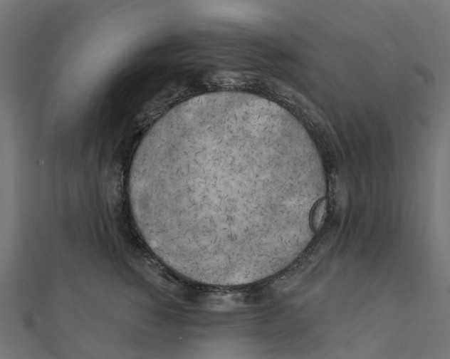 X0000111240760200907301306