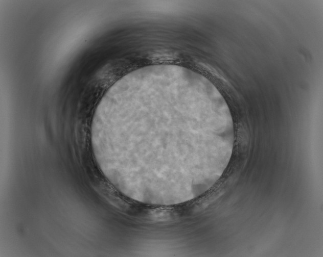 X0000111240761200907301306