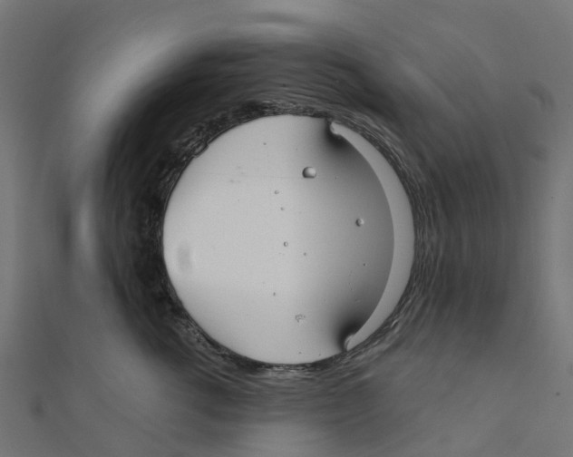 X0000111240762200907301306
