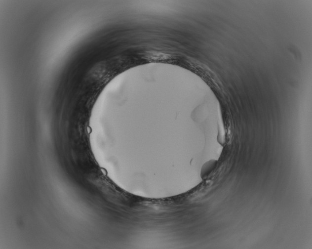 X0000111240763200907301306