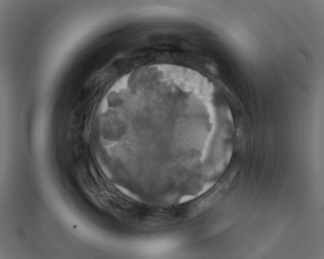 X0000111240765200907301306
