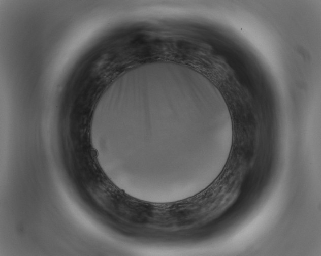 X0000111240766200907301306