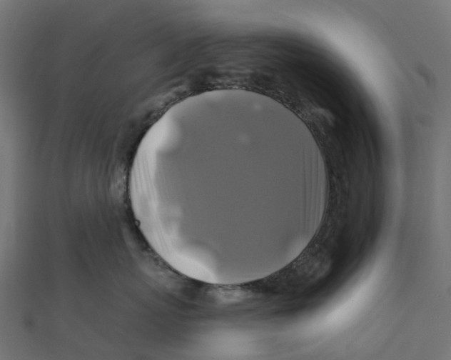 X0000111240767200907301306