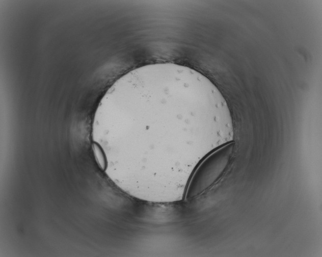 X0000111240768200907301306