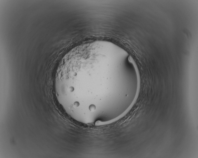 X0000111240769200907301306