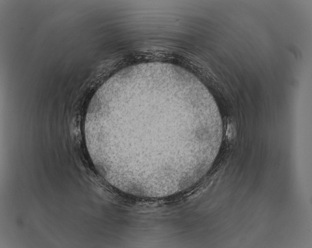 X0000111240771200907301306