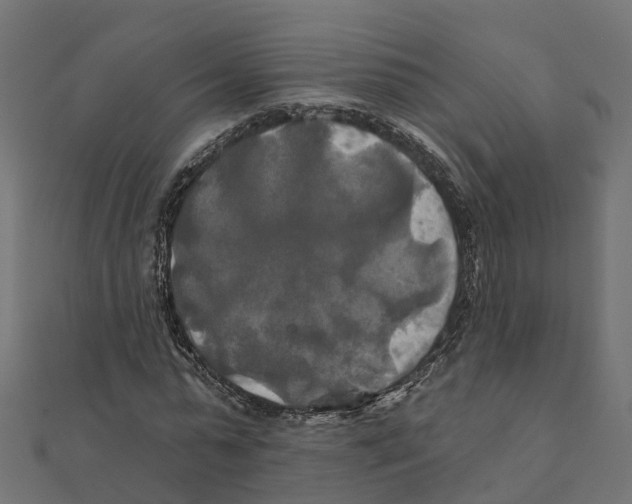 X0000111240775200907301306