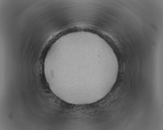 X0000111240776200907301306