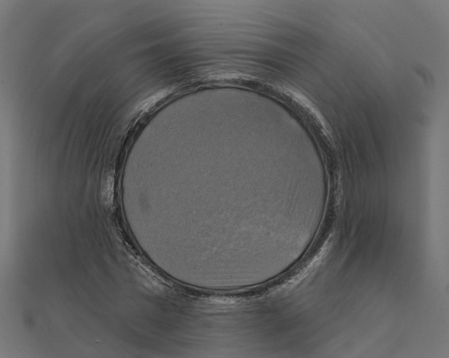 X0000111240777200907301306