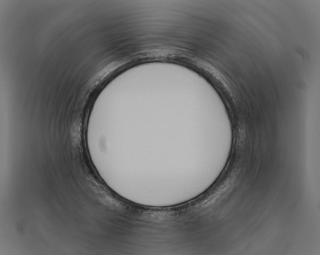 X0000111240778200907301306