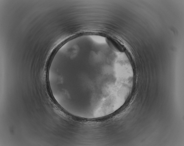 X0000111240779200907301306
