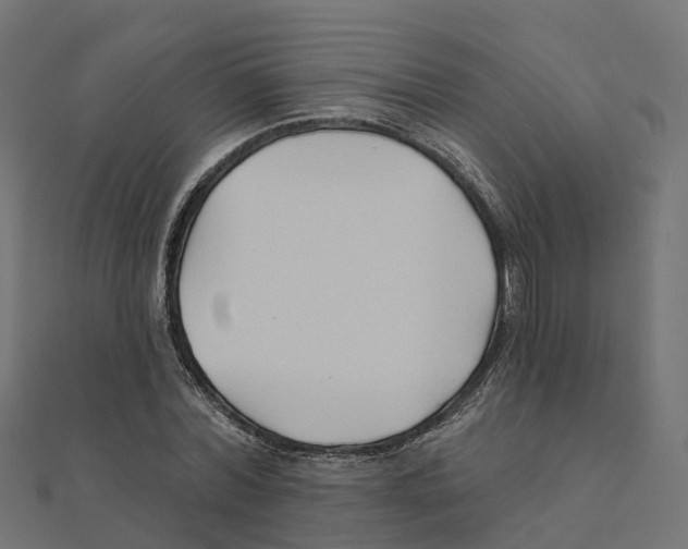 X0000111240780200907301306