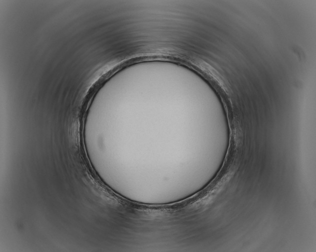 X0000111240781200907301306