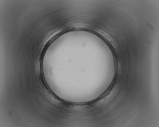X0000111240782200907301306