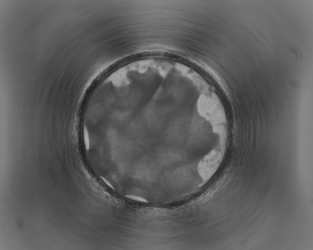 X0000111240783200907301306
