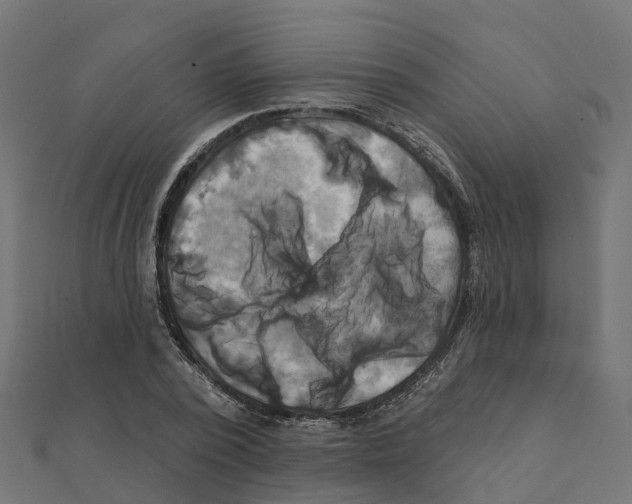 X0000111240784200907301306