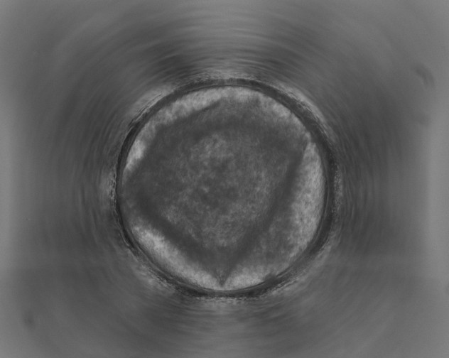 X0000111240785200907301306