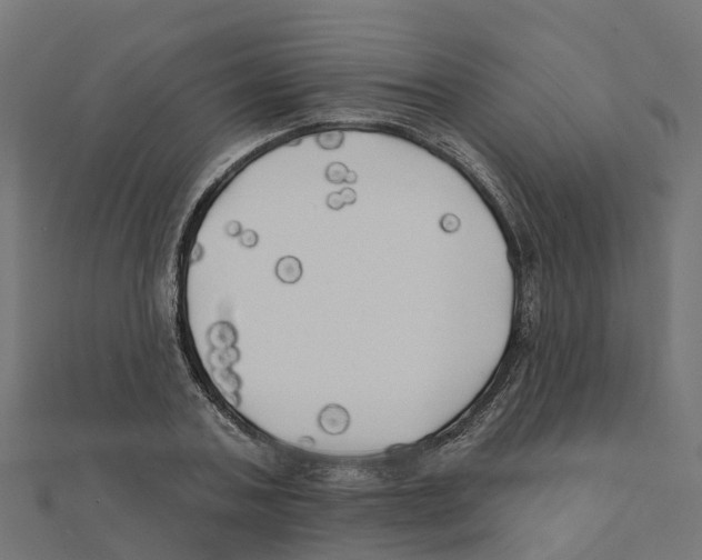 X0000111240787200907301306