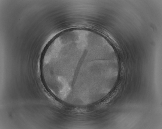 X0000111240788200907301305