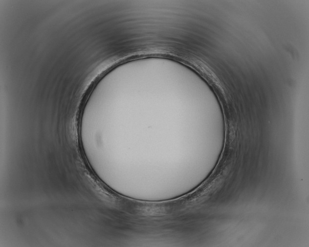 X0000111240789200907301305