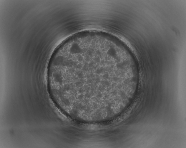 X0000111240791200907301305