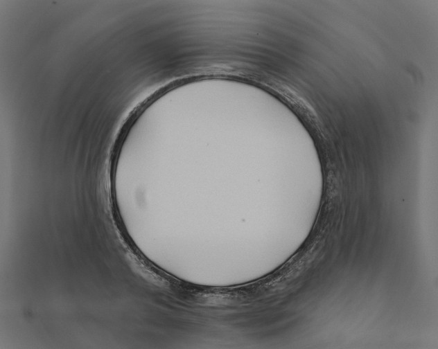 X0000111240792200907301305