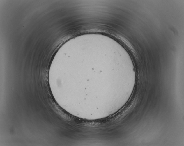 X0000111240793200907301305
