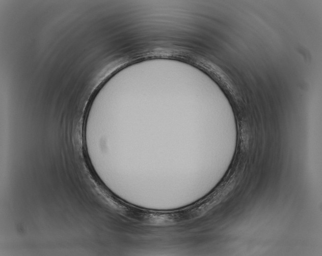 X0000111240794200907301305