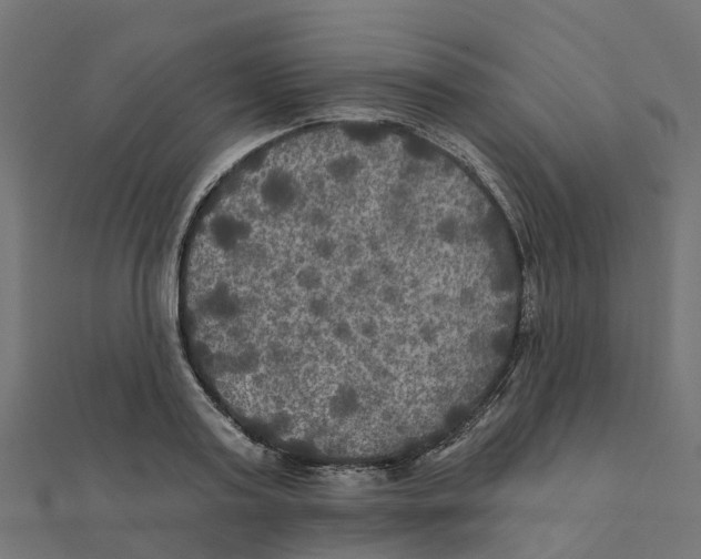 X0000111240795200907301305