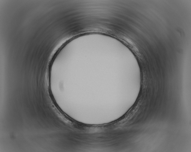 X0000111240796200907301305