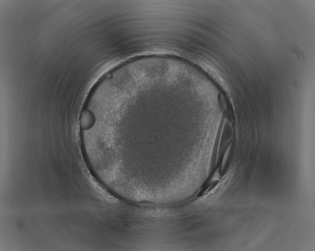 X0000111240797200907301305
