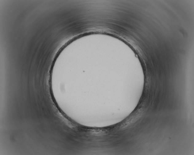 X0000111240799200907301305