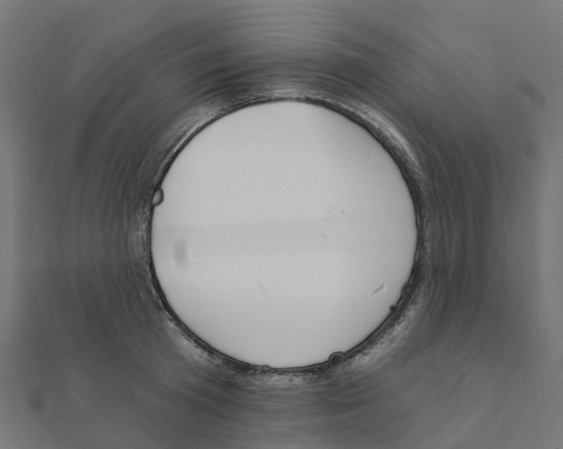 X0000111240801200907301305