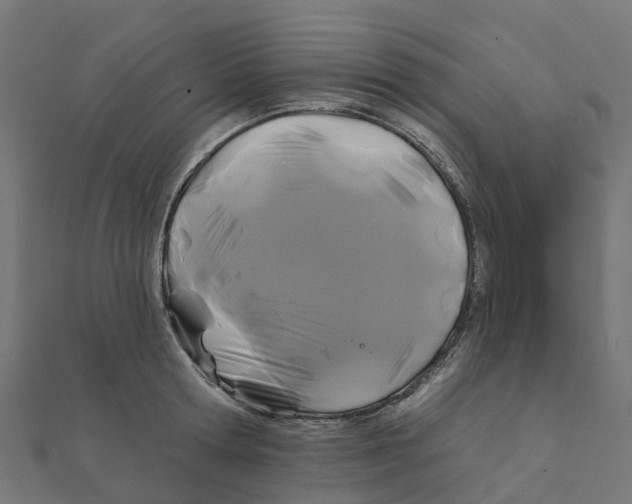 X0000111240802200907301305