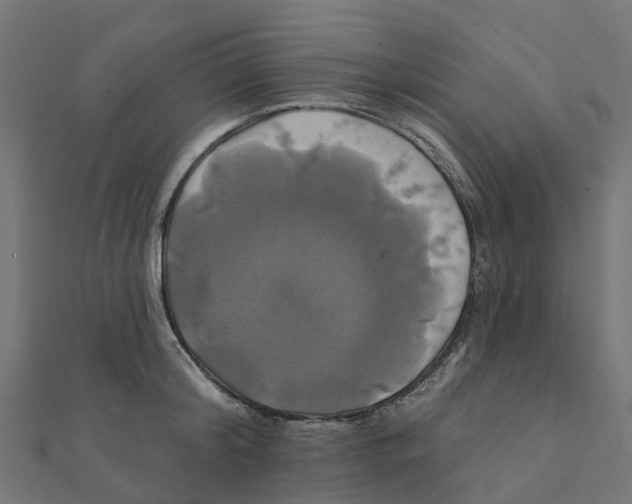 X0000111240804200907301305