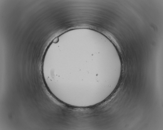 X0000111240805200907301305