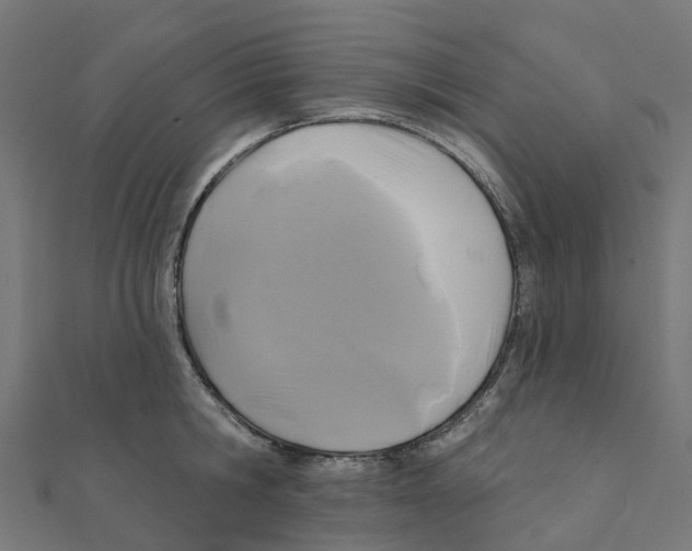 X0000111240806200907301305