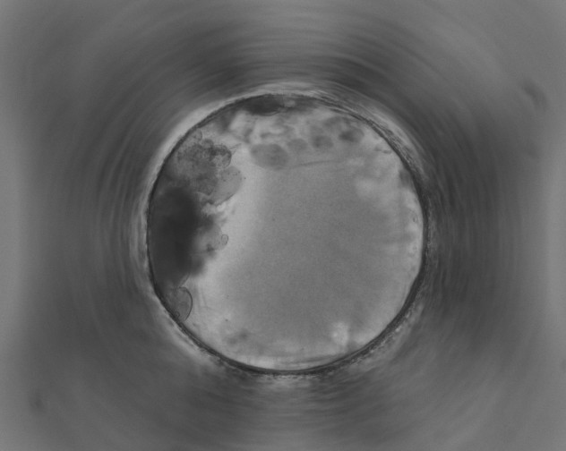 X0000111240808200907301305