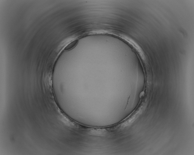 X0000111240809200907301305