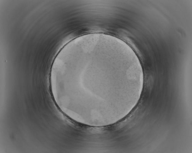 X0000111240810200907301305