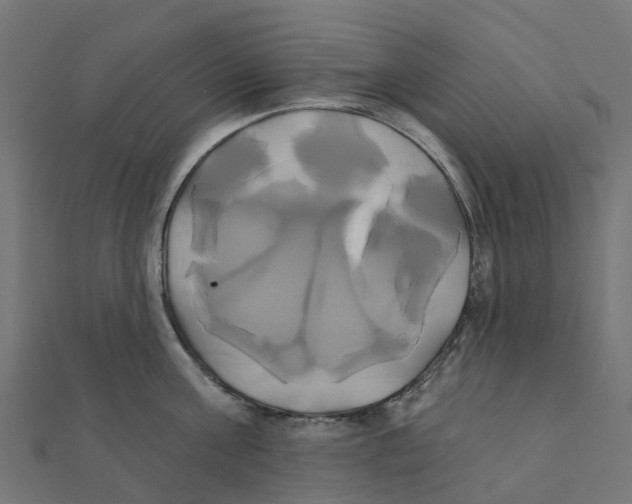 X0000111240811200907301305