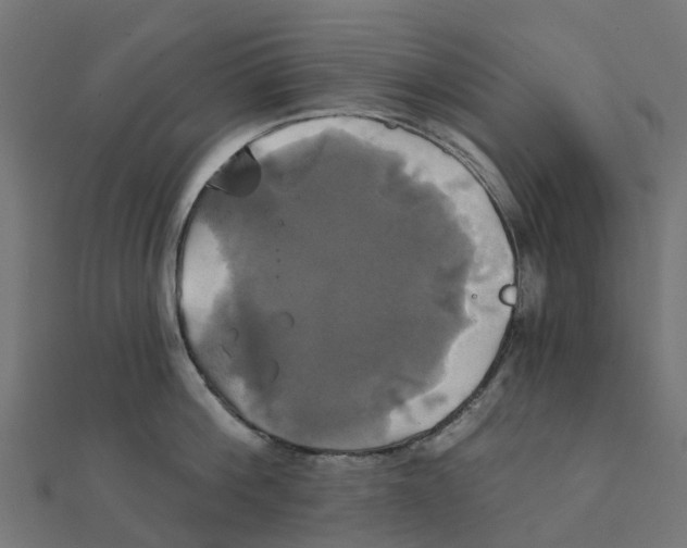 X0000111240812200907301305