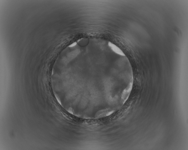 X0000111240817200907301304
