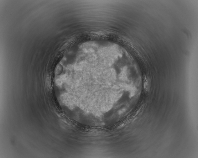 X0000111240819200907301304