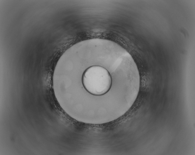 X0000111240820200907301304