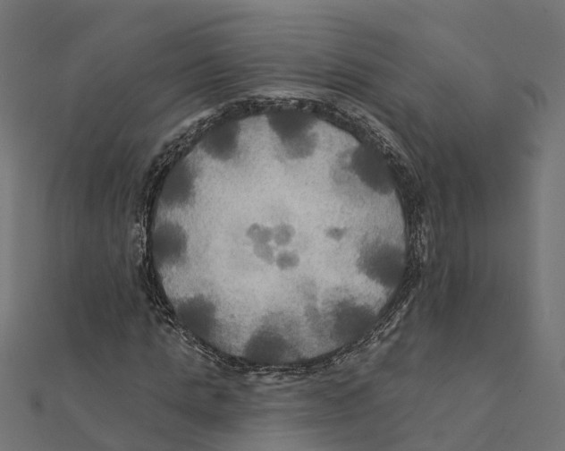 X0000111240821200907301304