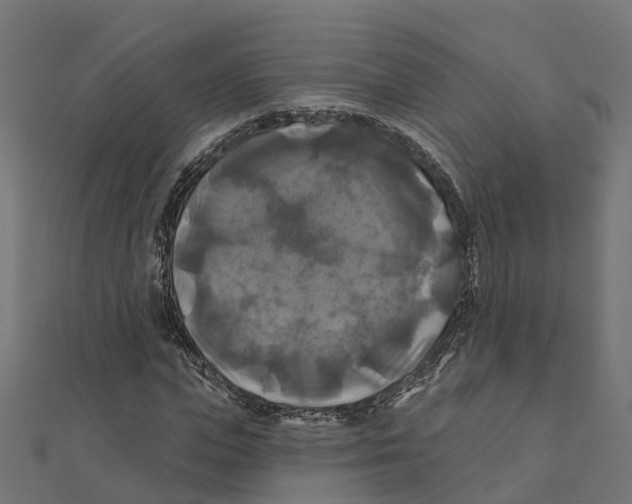 X0000111240823200907301304