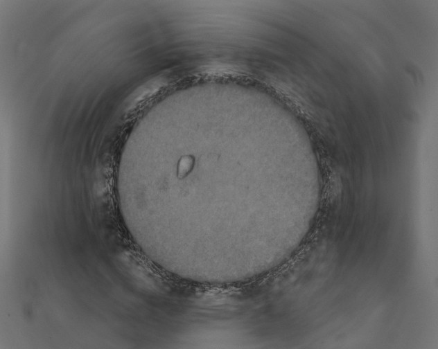 X0000111240824200907301304