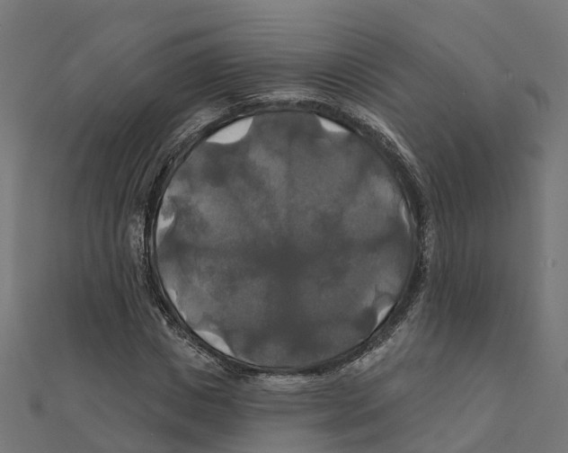X0000111240825200907301304